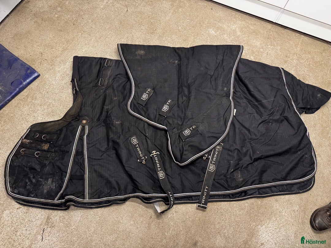 Täcken hästutrustning till salu: Täcken - Annons 2