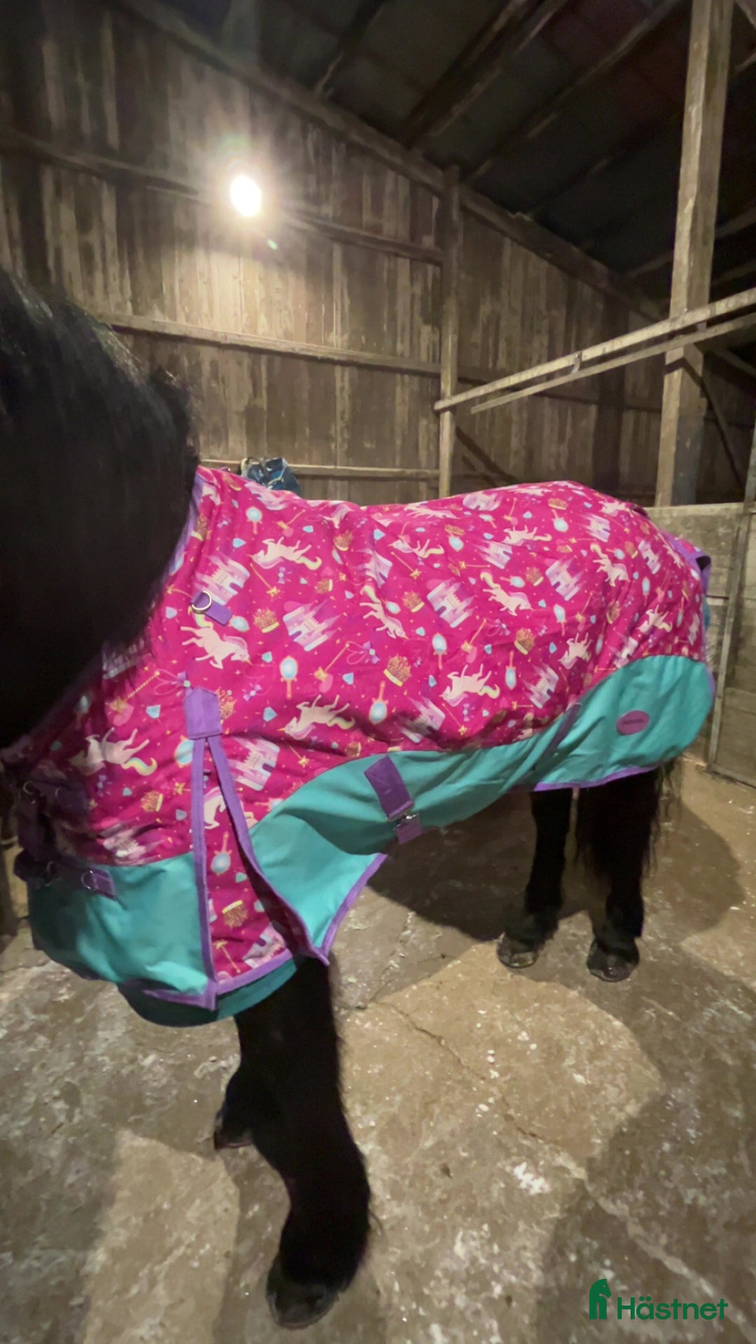 Täcken hästutrustning till salu: Nytt täcke  i Umeå - Annons 3
