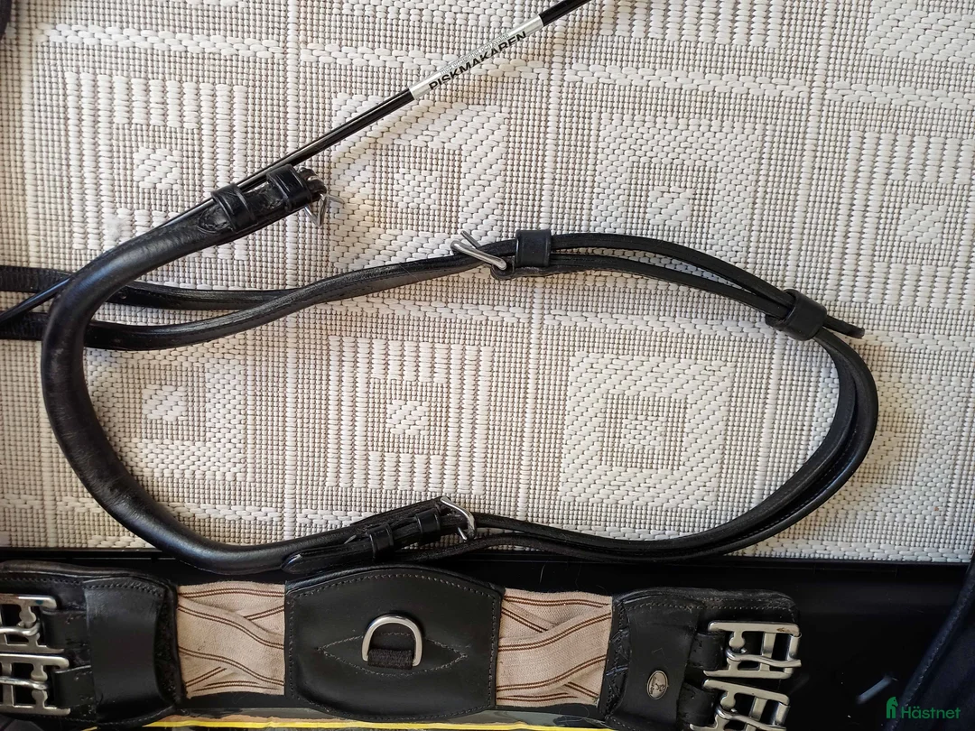 Övrig Hästutrustning hästutrustning till salu: Tömkörningsgjord Globus Deluxe i Axvall - Annons 3