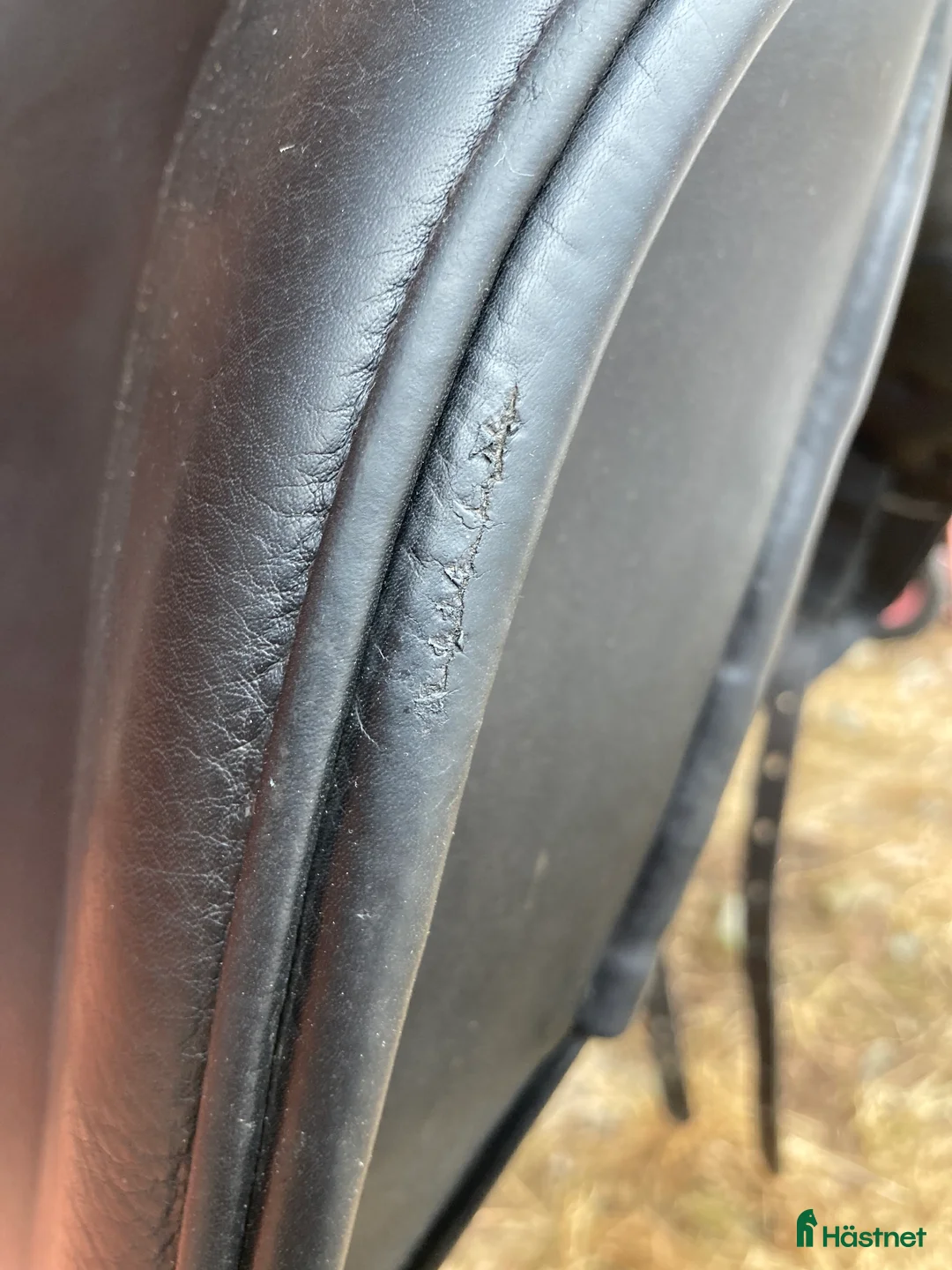 Sadlar hästutrustning till salu: Prestige Icelandic DI i Lima - Annons 6