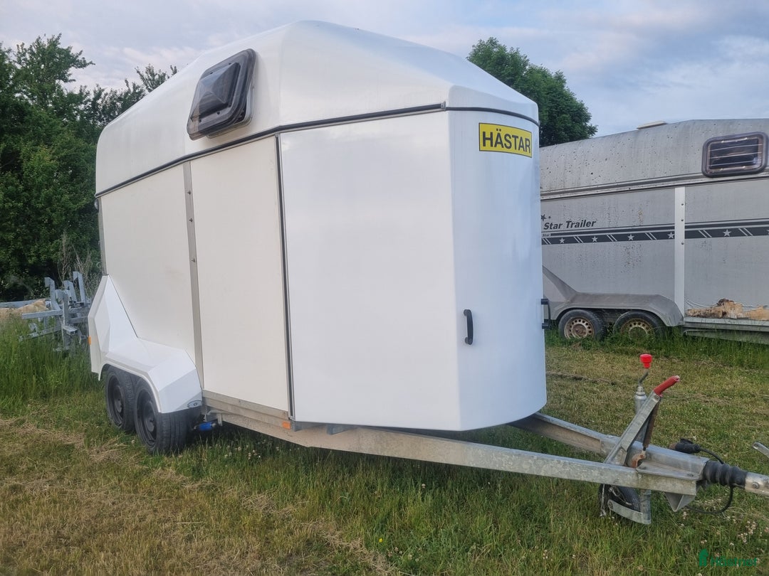 Hästtransporter  fordon & transport till salu: Ringostar nyrenoverad i Romakloster - Annons 2