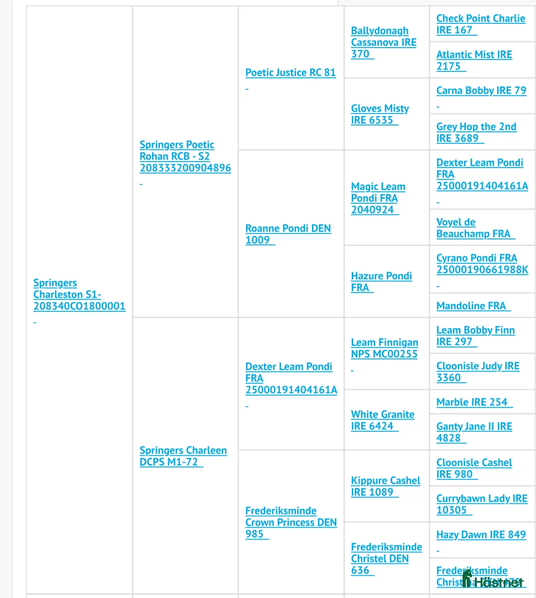 Allround hästar till salu: Sockersöt Connemara  - Annons 12