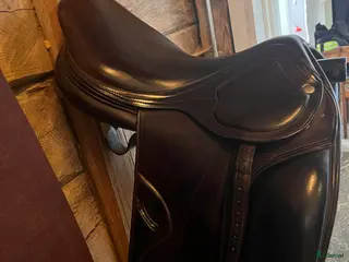 Sadlar hästutrustning till salu: Amerigo DJ i Skänninge - Annons 1