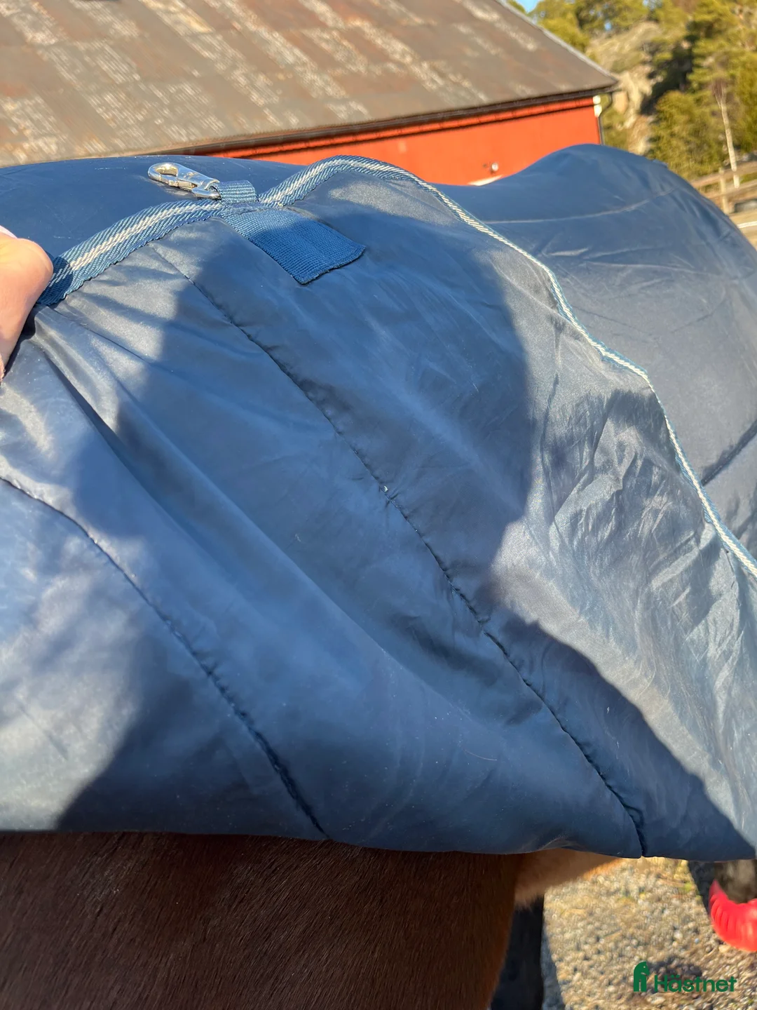 Täcken hästutrustning till salu: Horsewear Liner i Värmdö - Annons 5