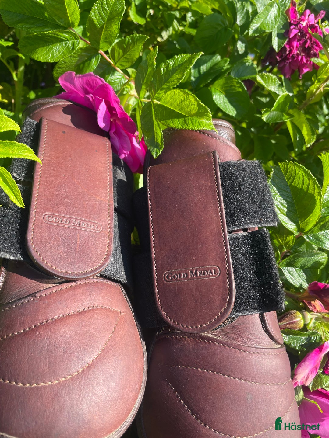 Benskydd hästutrustning till salu: Benskydd i Östersund - Annons 2