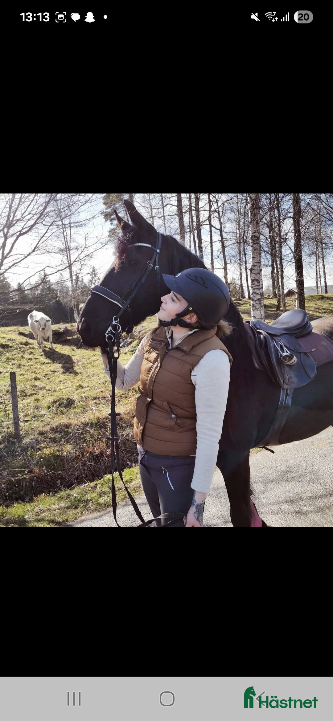  hästjobb Hästjobb sökes - Annons 21