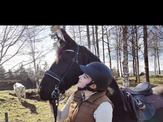 hästjobb Hästjobb sökes i Rö - Annons 16