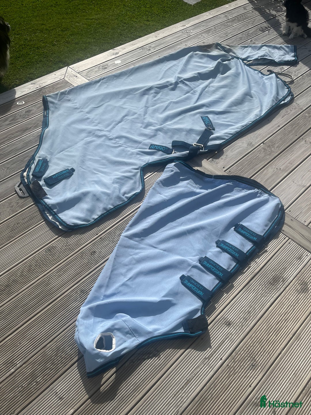 Täcken hästutrustning till salu: Amigo Eksemtäcke  i Karlskoga - Annons 2