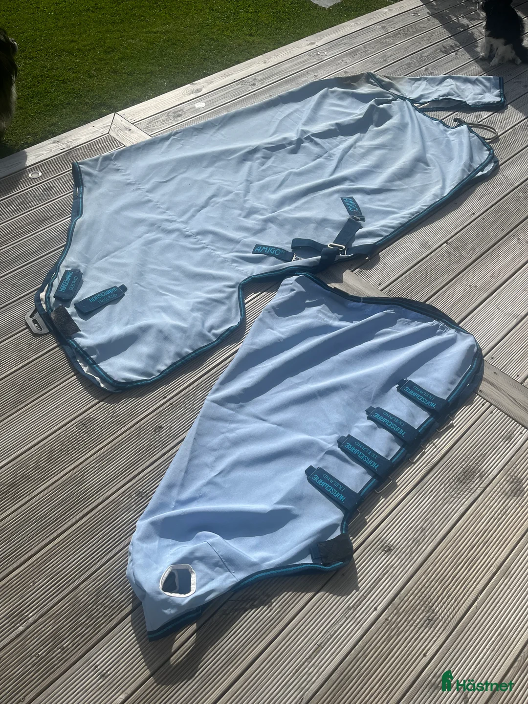 Täcken hästutrustning till salu: Amigo Eksemtäcke  i Karlskoga - Annons 2