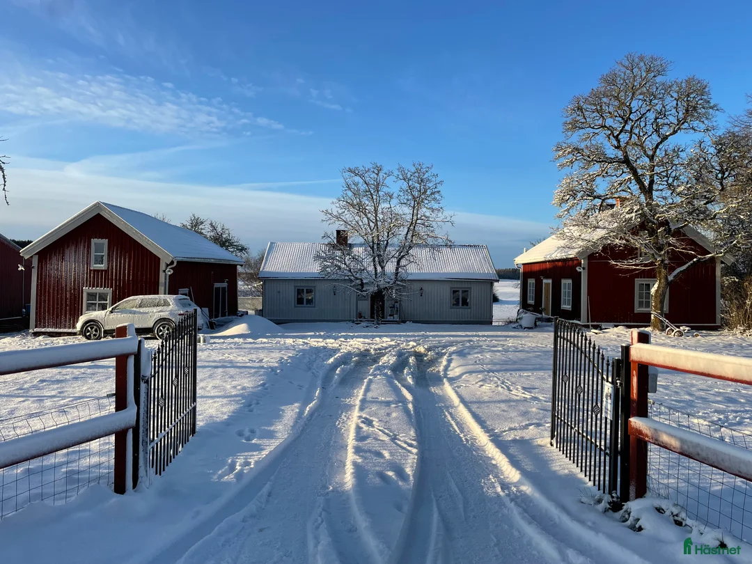  hästservice finnes: Söker dig som vill driva hästverksamhet hos oss!  i Nyköping - Annons 7