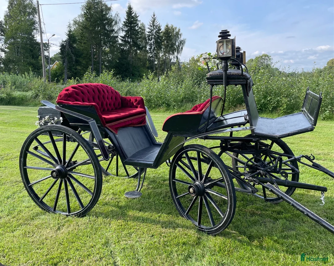 Körvagnar körning till salu: Tjusig Bröllopsvagn , promenadvagn. - Annons 2