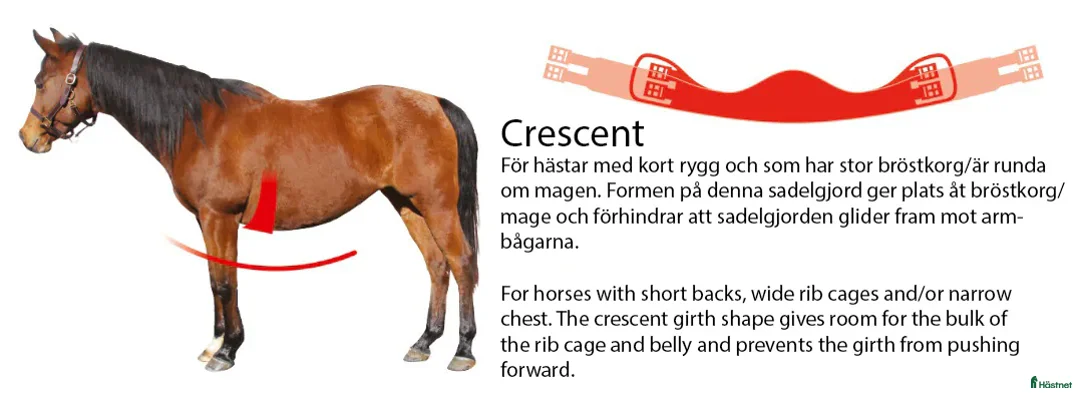 Sadeltillbehör hästutrustning till salu: Mattes crescent sadelgjord hopp/allround - Annons 2