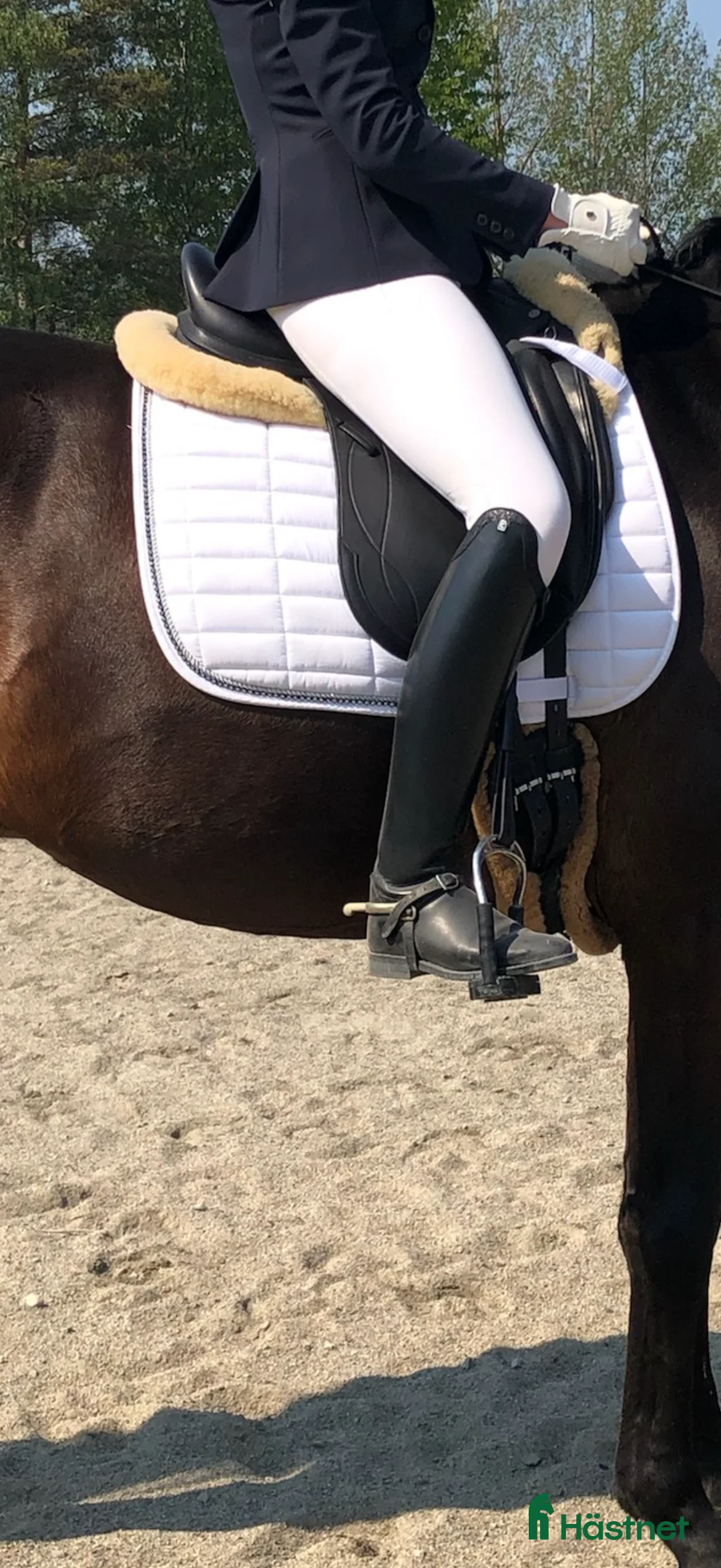 Sadlar hästutrustning till salu: Prestige x-breath - Annons 2