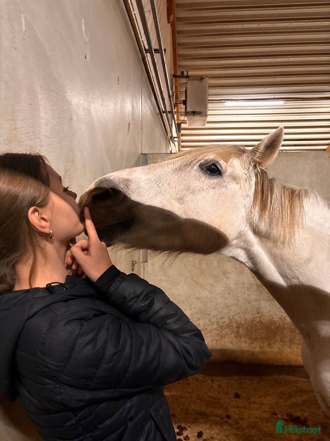  medryttarhäst sökes: Jag söker medryttarhästen som söker efter mig!💗 - Annons 2