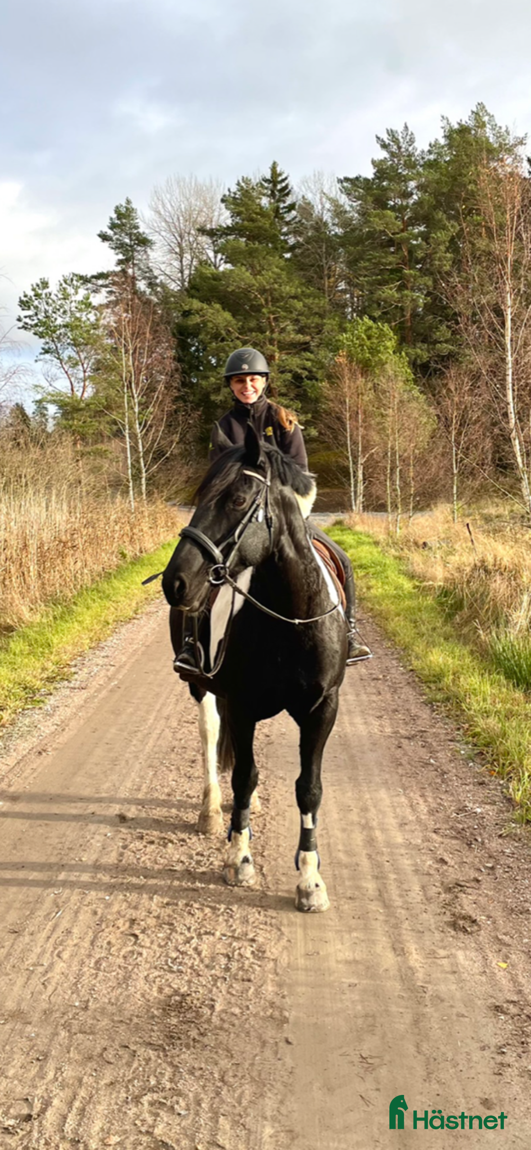 Working Equitation hästar till salu: Storhäst & 3 D ponny från Ridskola, Voltige, Para - Annons 2