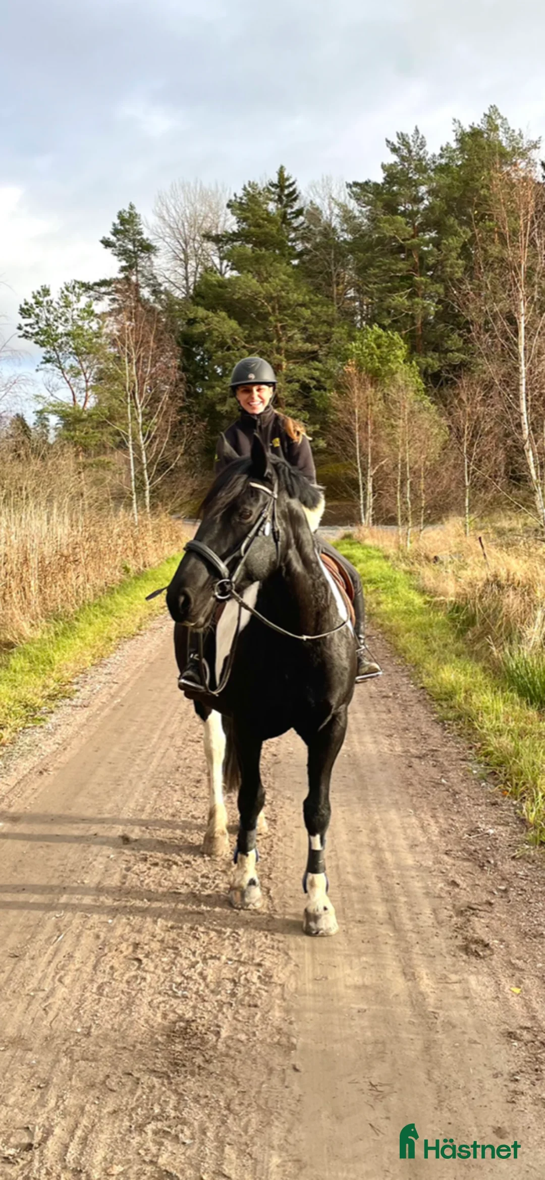Working Equitation hästar till salu: Storhäst & 3 D ponny från Ridskola, Voltige, Para - Annons 2