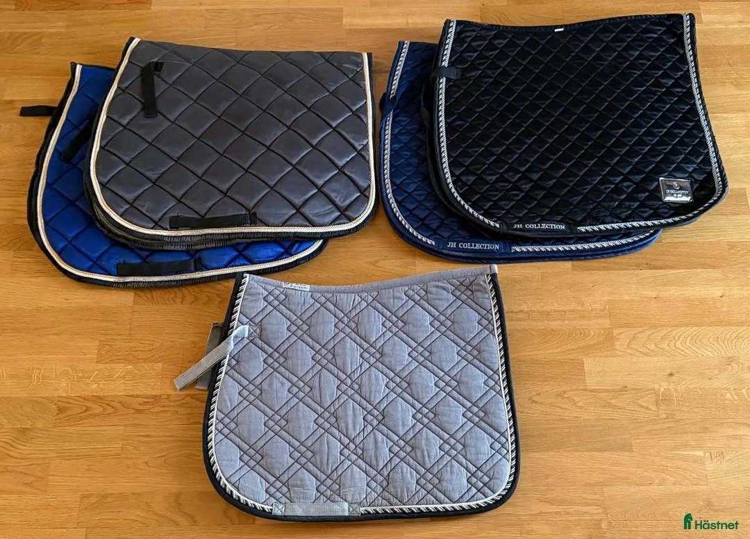 Schabrak & Vojlockar hästutrustning till salu: Full och Ponny 50kr st i Vikingstad - Annons 3