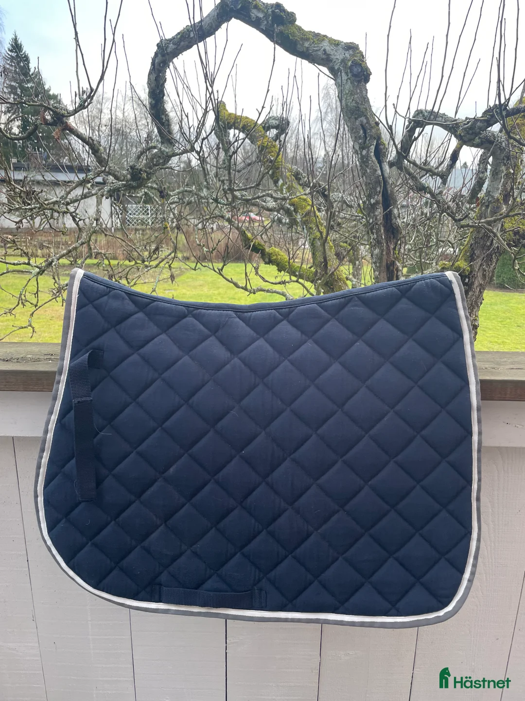 Schabrak & Vojlockar hästutrustning till salu: Allroundschabrak i Jönköping - Annons 1