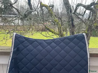 Schabrak & Vojlockar hästutrustning Allroundschabrak - Annons 5