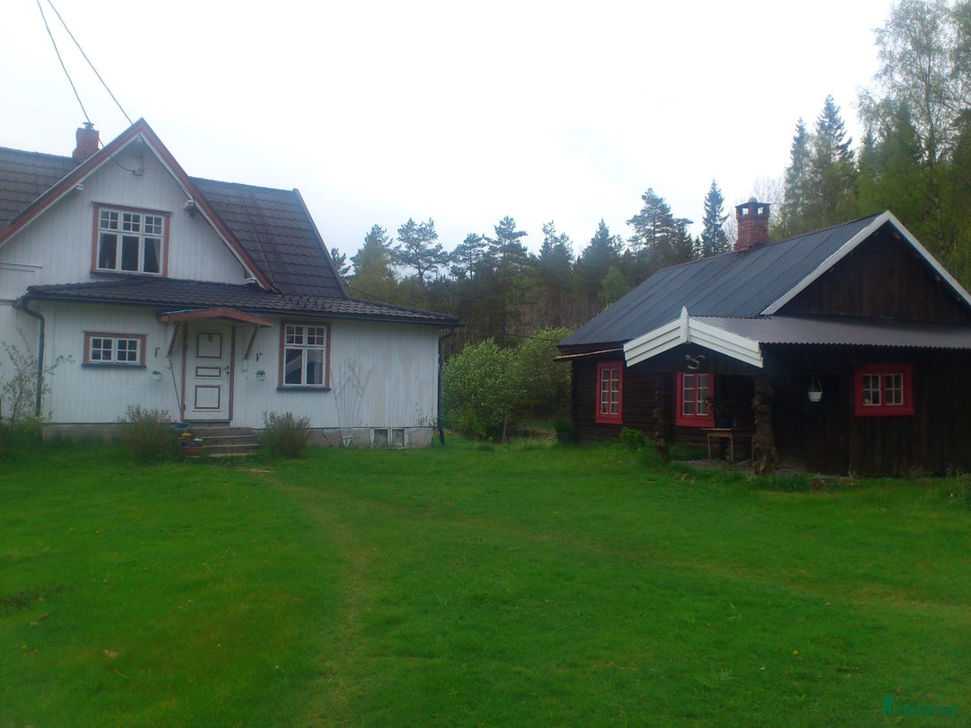  hästjobb finnes: Jobb på islandshästgård! i Mysen - Annons 4