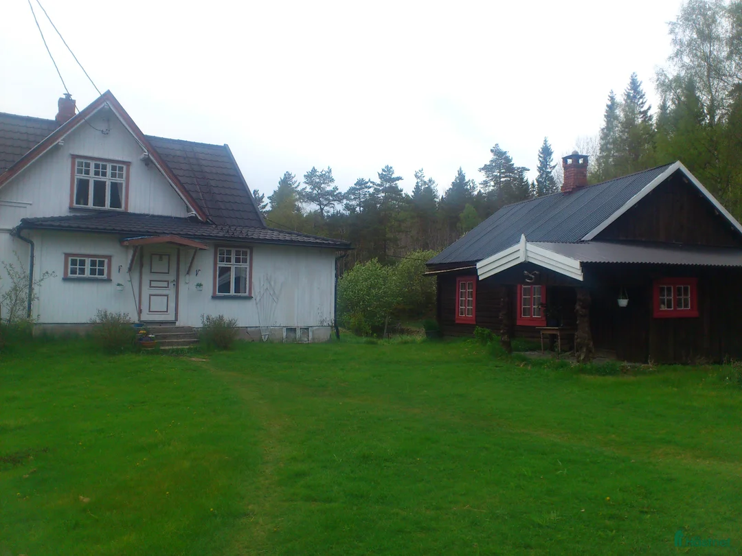  hästjobb finnes: Jobb på islandshästgård! - Annons 4