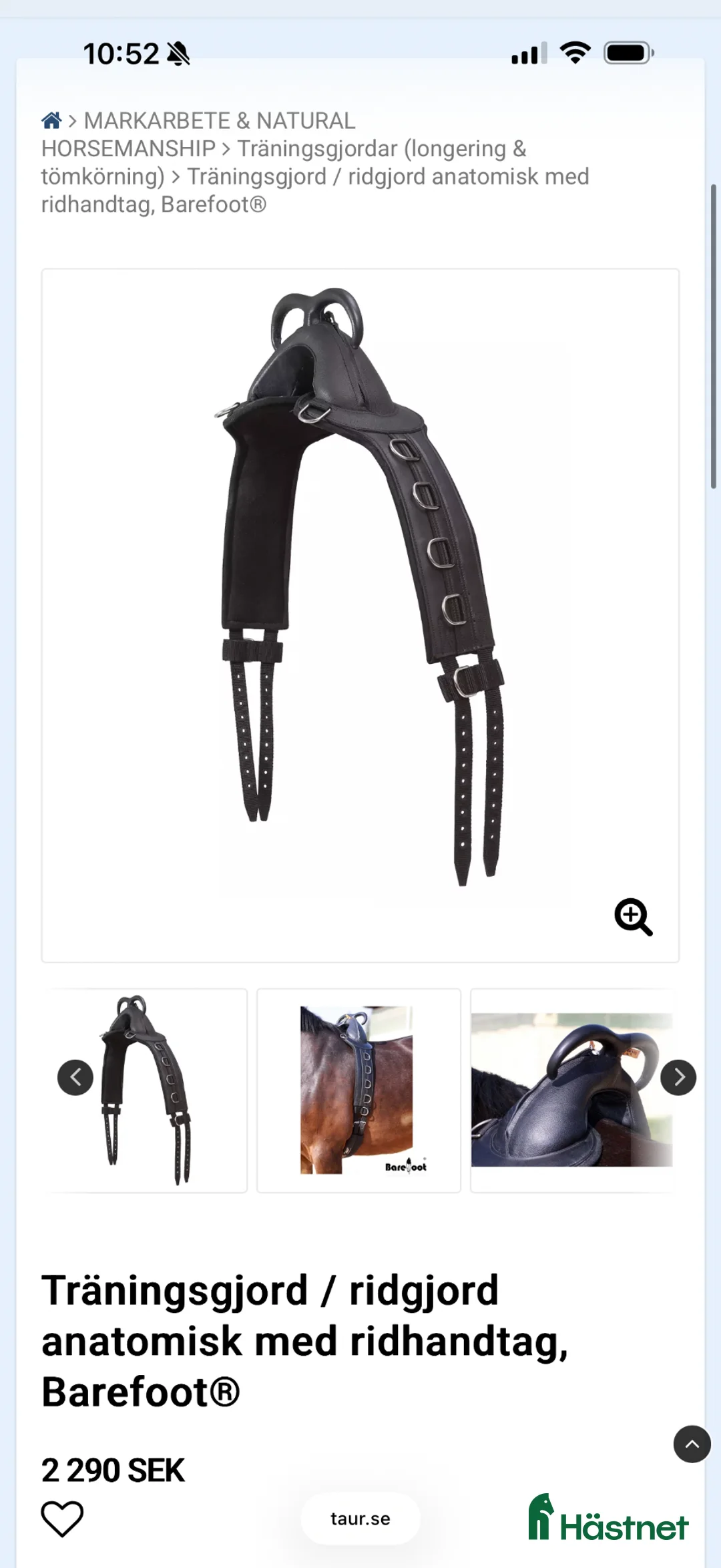 Övrig Hästutrustning hästutrustning till salu: Tömkörning/ridgjord inkl tömmar i Åtvidaberg - Annons 2