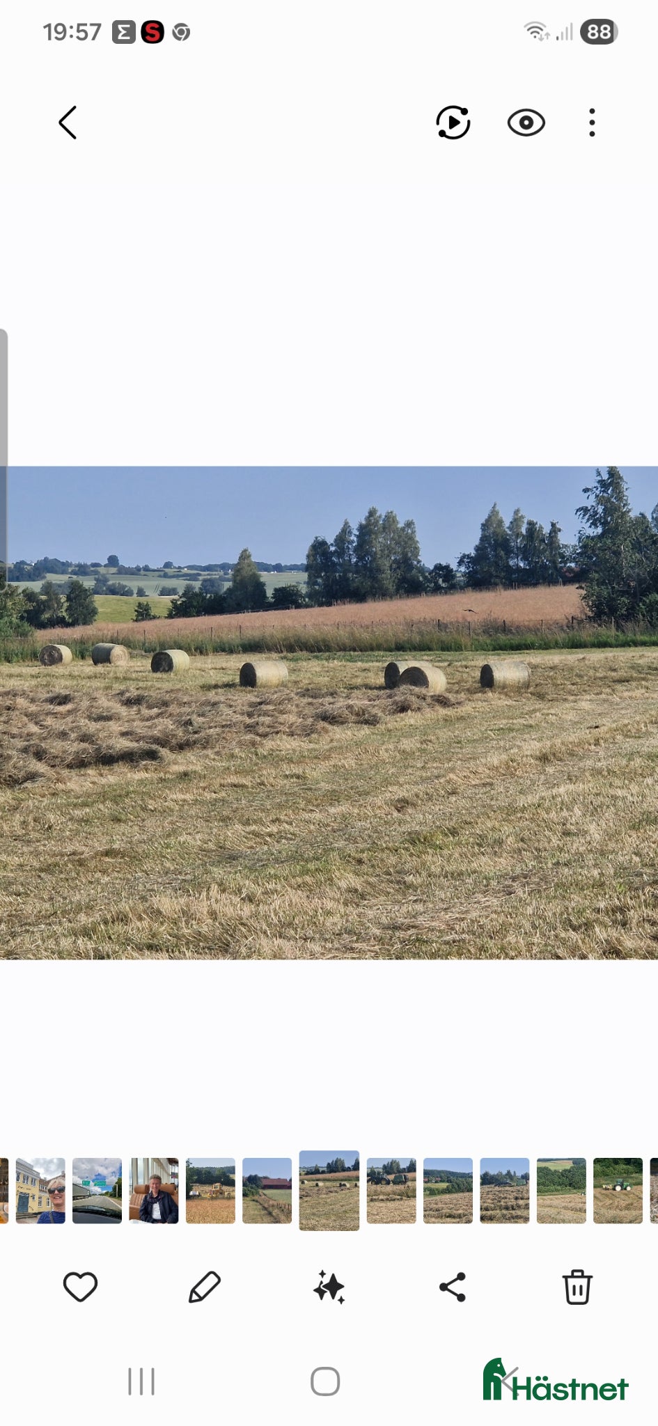 Övrig utrustning övrig utrustning till salu: Hö I storbal - Annons 14