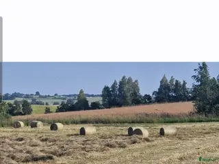 Övrig utrustning övrig utrustning till salu: Hö I storbal - Annons 14