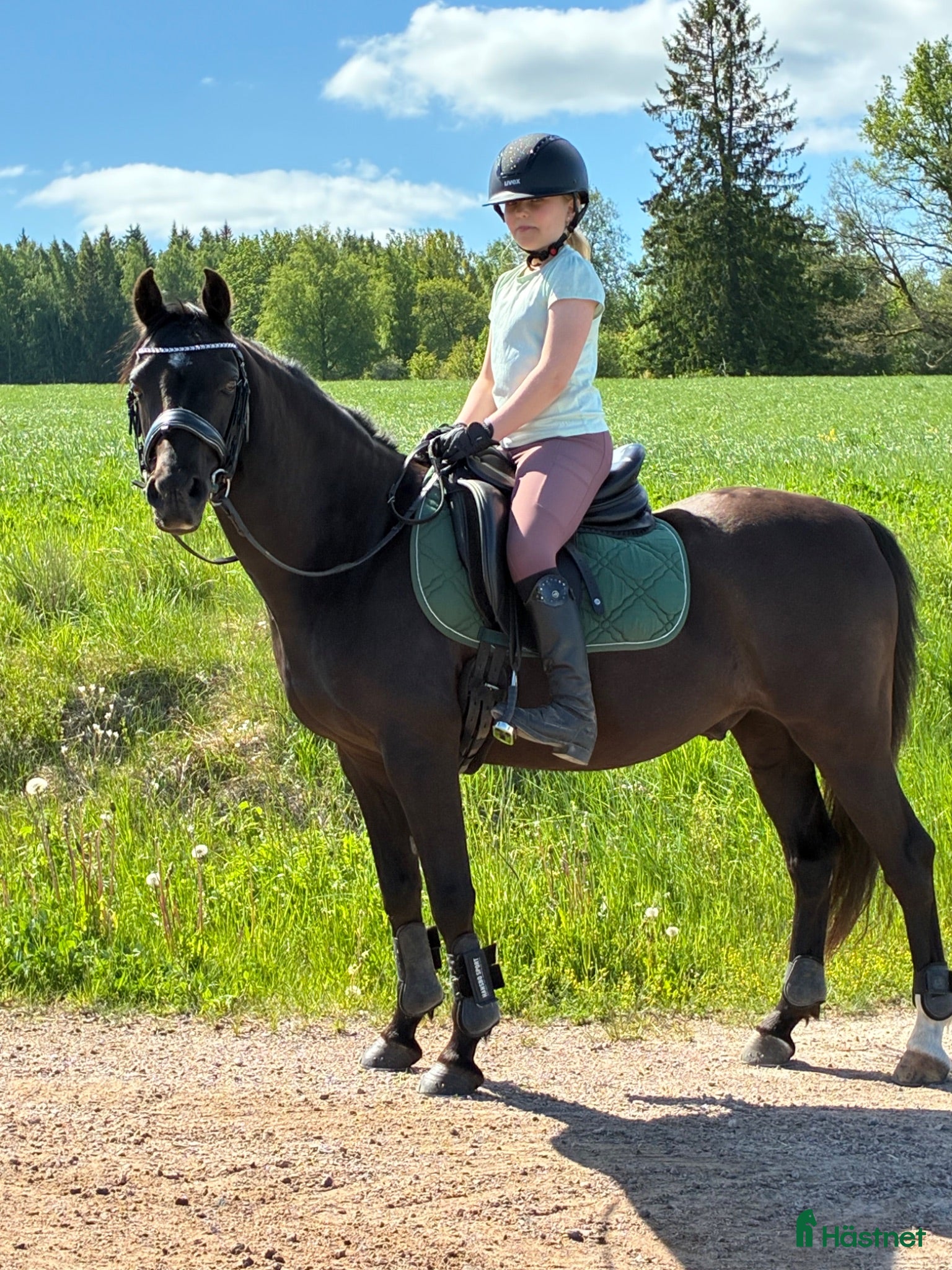  hästar Vacker ponny med ett hjärta av guld  - Annons 1