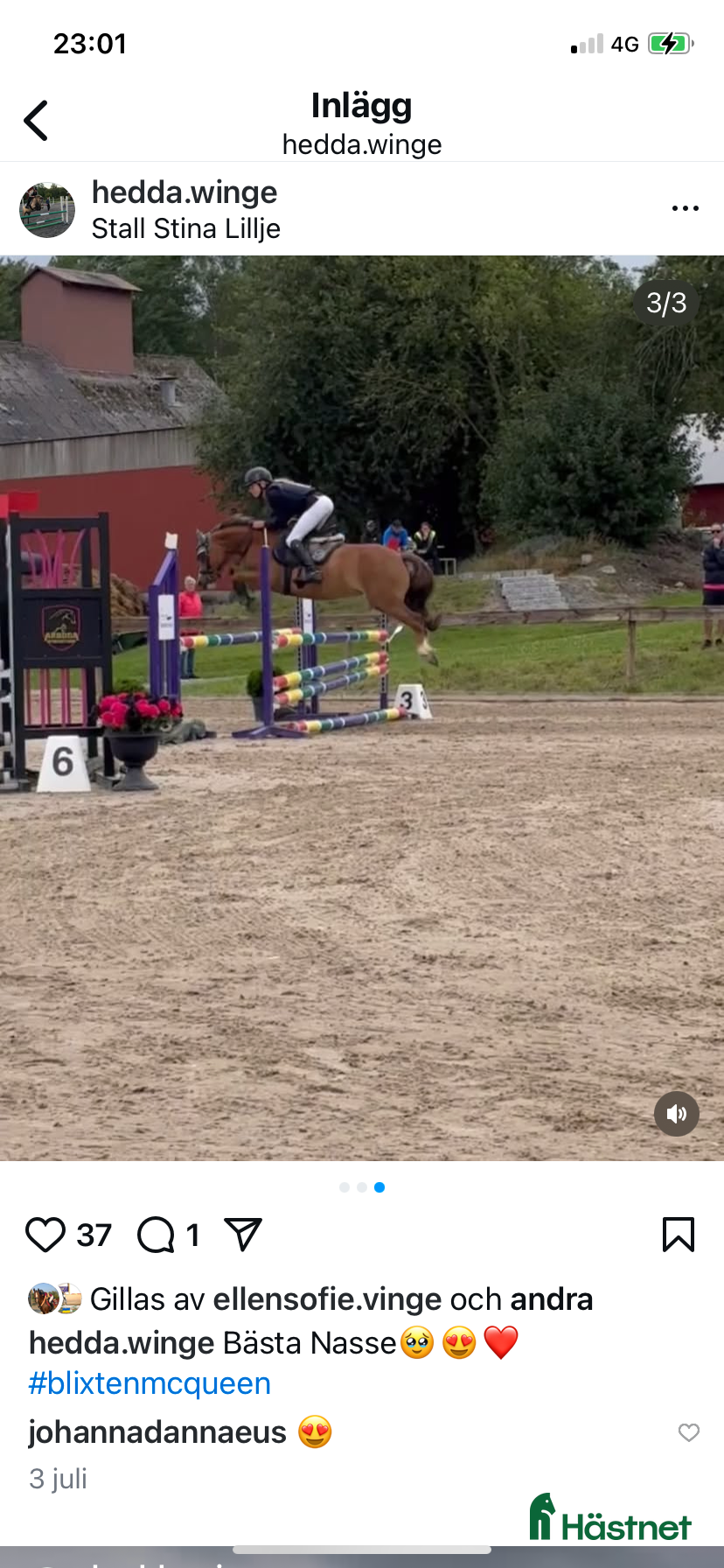  hästar Tävlingsponny i Strängnäs - Annons 7