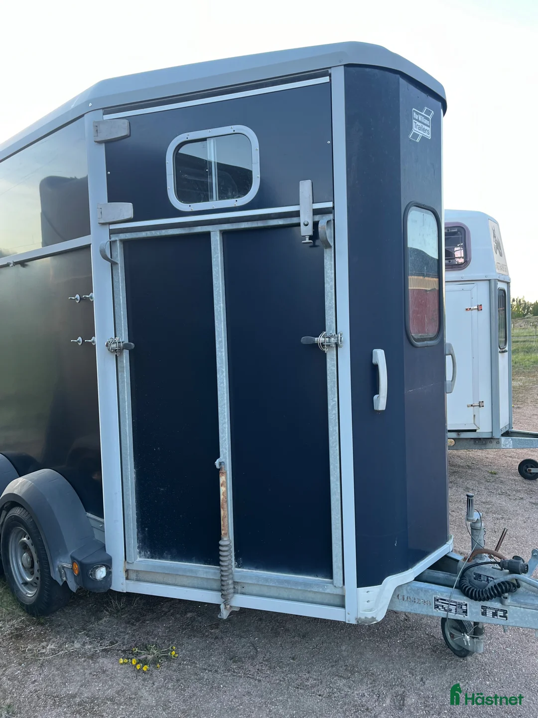 Hästtransporter  fordon & transport till salu: Ifor Williams HB506 2012 fint skick  - Annons 8