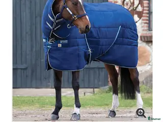 Täcken hästutrustning Rambo Horsewear stalltäcke i Värmdö - Annons 15