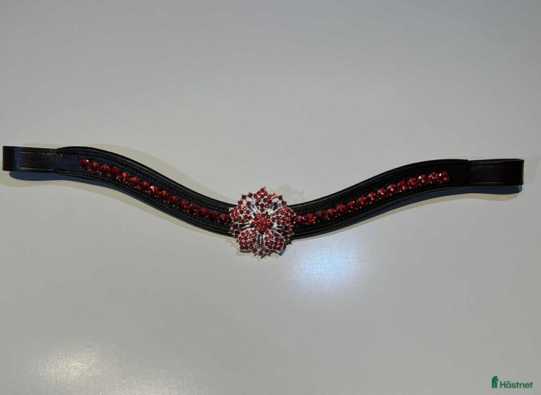 Övrig Hästutrustning hästutrustning till salu: Pannband  i Sörberge - Annons 1