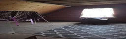  stallplats finnes: Lösdrift ledig  - Annons 7