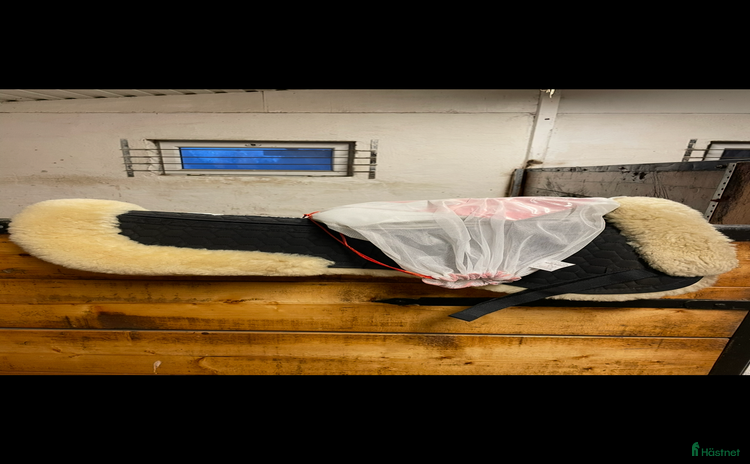 Sadeltillbehör hästutrustning till salu: Mattes korrektionspad i Vintrosa - Annons 12