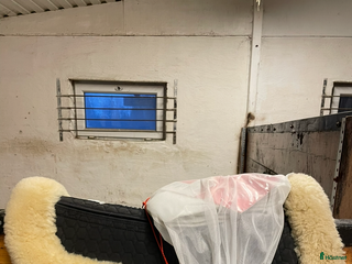 Sadeltillbehör hästutrustning till salu: Mattes korrektionspad i Vintrosa - Annons 16