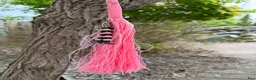 Träns hästutrustning till salu: Rosa repgrimma med tyglar och halsring - Annons 4