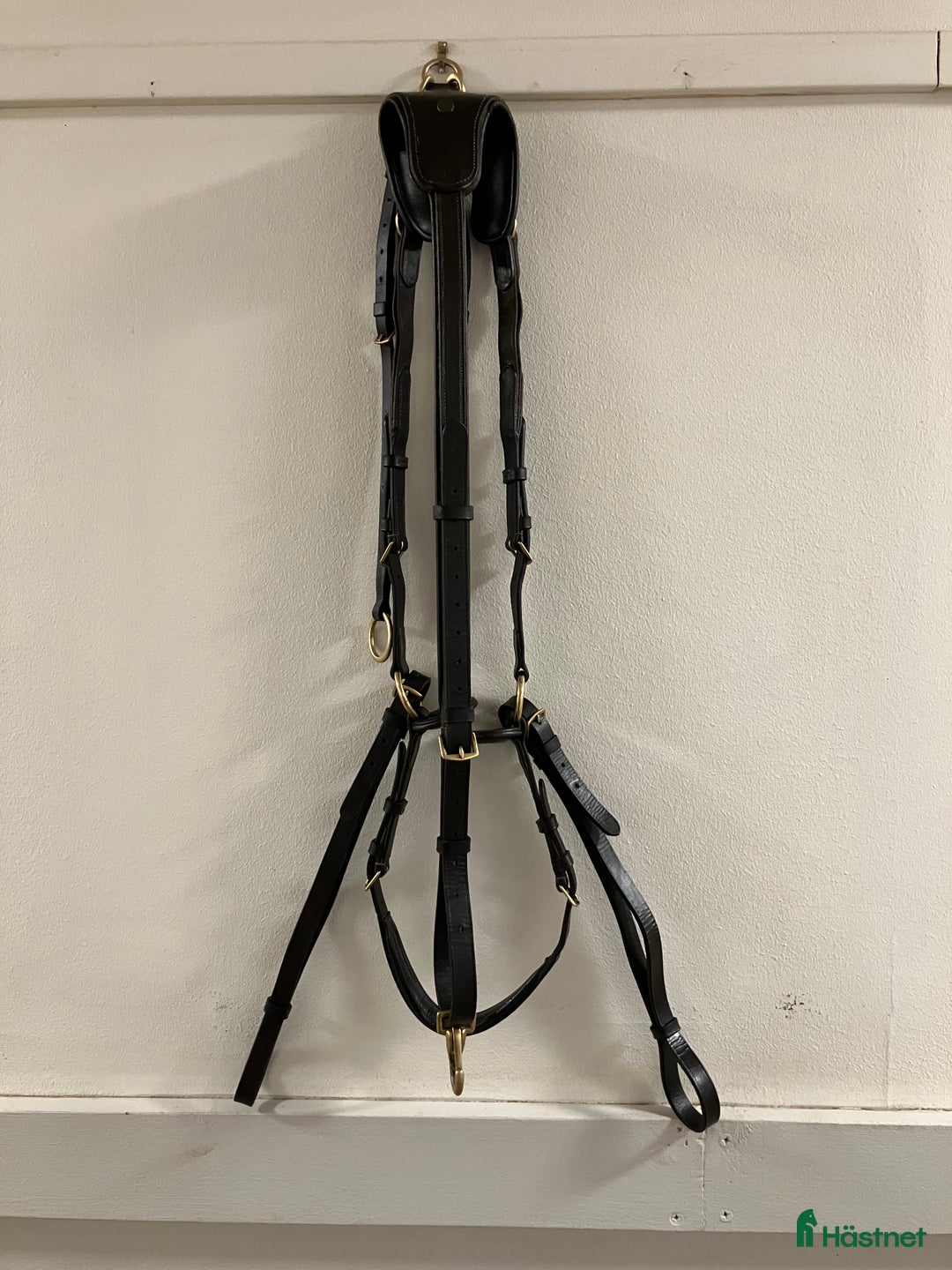 Övrig Hästutrustning hästutrustning till salu: Förbygel mörkbrun med mässingsspännen i Uppsala - Annons 1