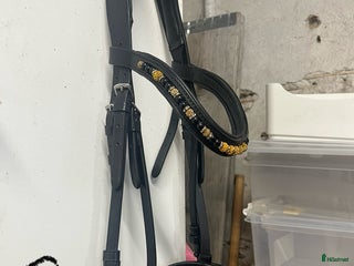 Övrig Hästutrustning hästutrustning till salu: Hästutrustning till salu i Björklinge - Annons 5