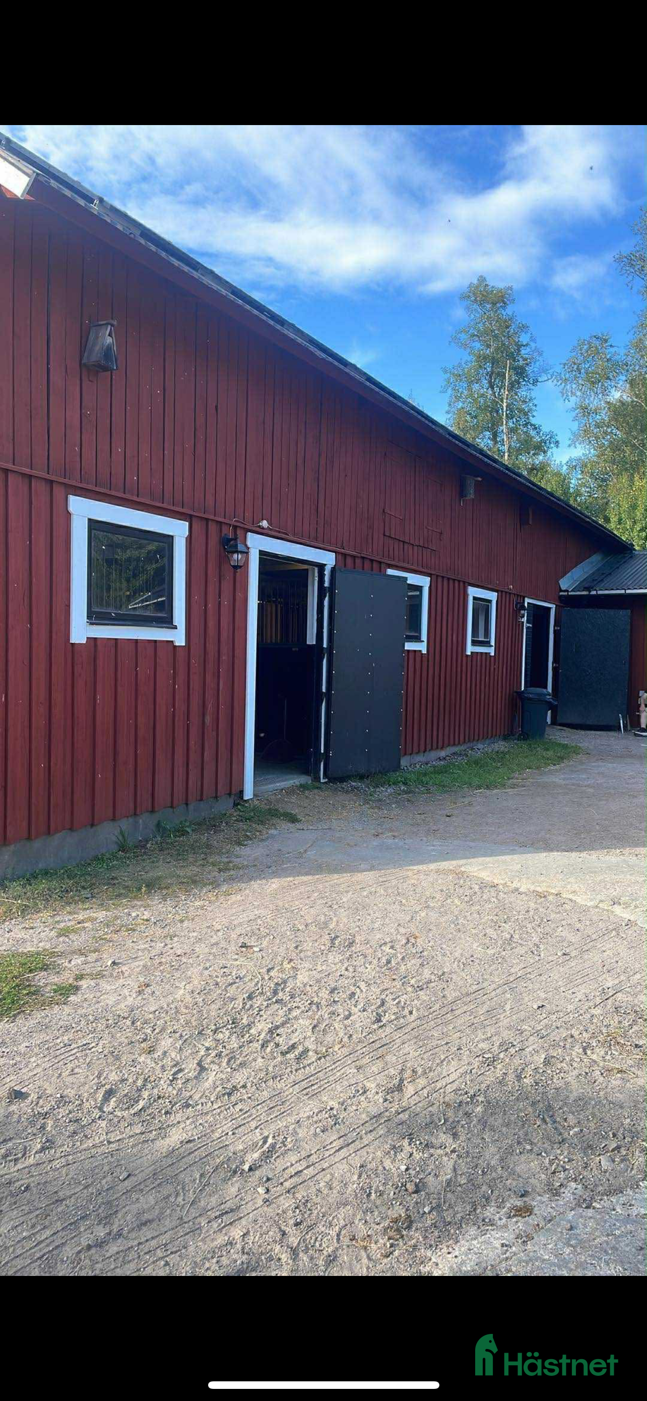  hästar D ponny eller mindre storhäst sökes  - Annons 24