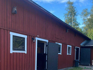 hästar D ponny eller mindre storhäst sökes i Västervik - Annons 20