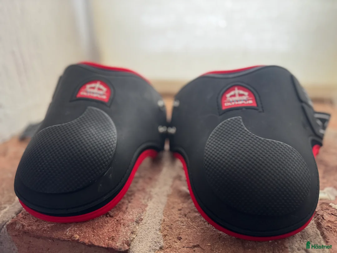 Benskydd hästutrustning till salu: Verdus benskydd - Annons 5