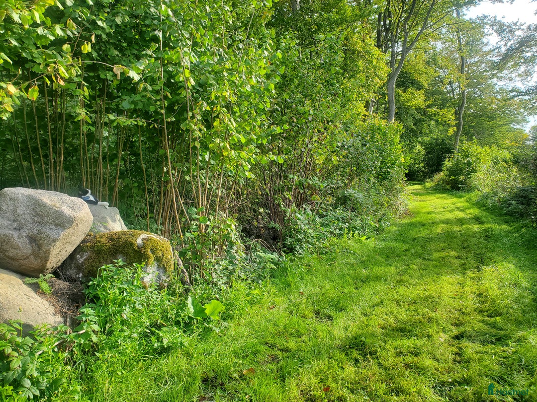  stallplats finnes: Stallplats i Askeröd  i Hörby - Bild 7