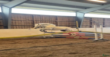  stallplats i Uppsala - Annons 7