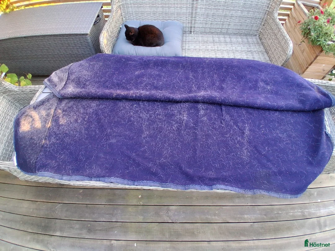 Täcken hästutrustning till salu: Täcken 130-135 cm i Ljungbyholm - Annons 11