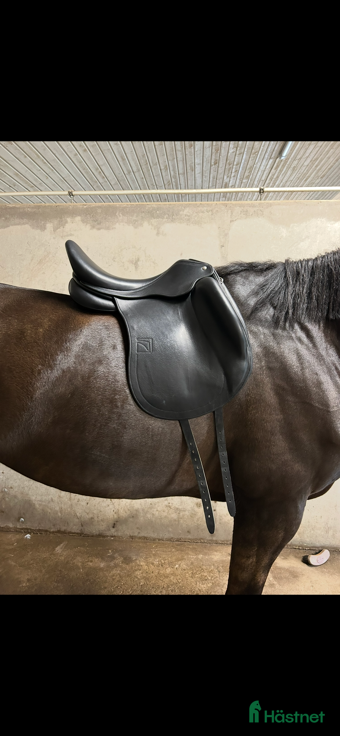 Sadlar hästutrustning till salu: Superfin Childeric DHE i Tvärred - Annons 1