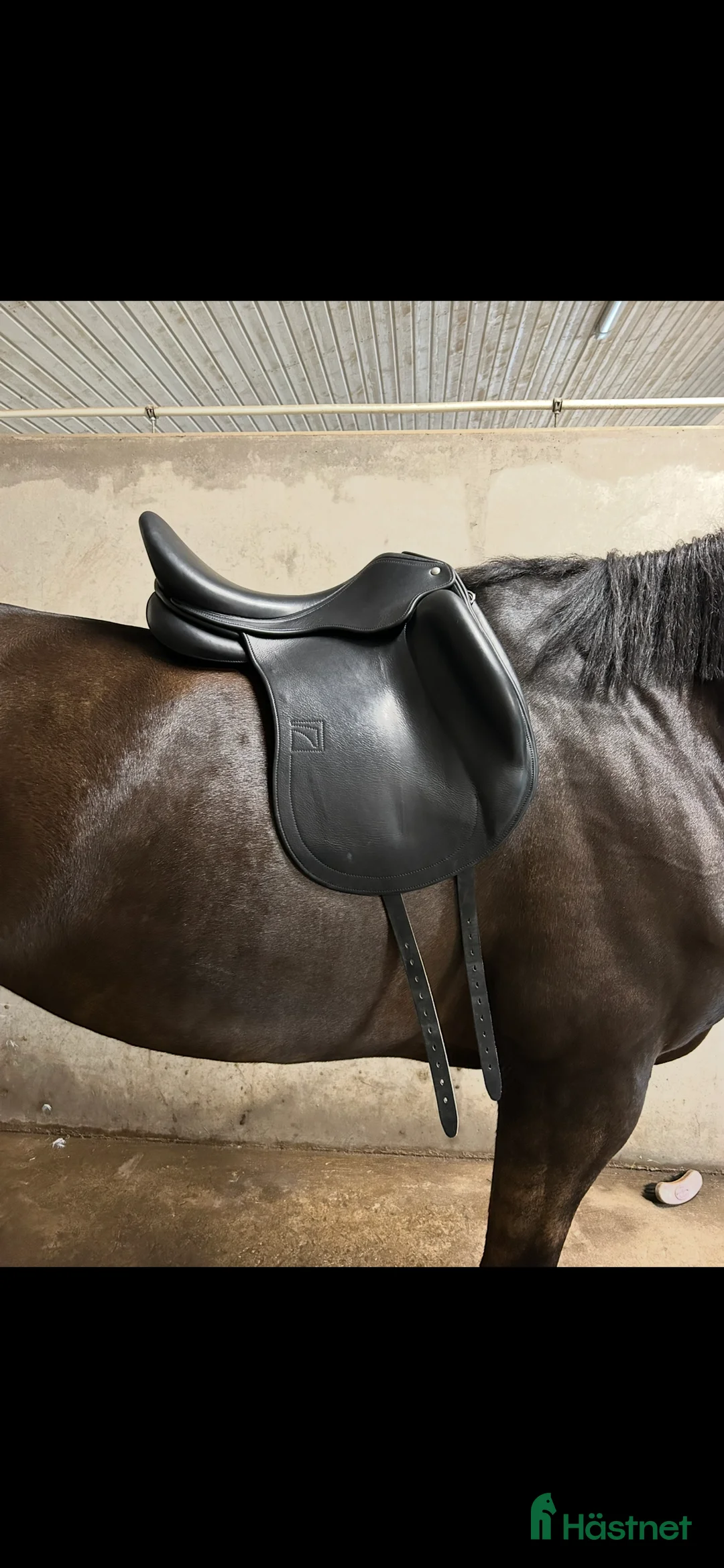 Sadlar hästutrustning till salu: Superfin Childeric DHE i Tvärred - Annons 1