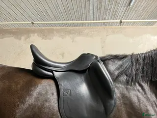 Sadlar hästutrustning till salu: Superfin Childeric DHE i Tvärred - Annons 1