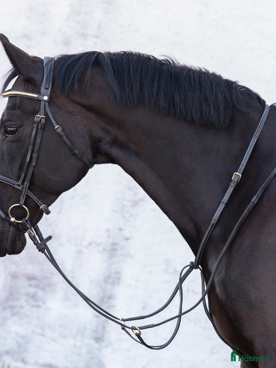 Övrig Hästutrustning hästutrustning till salu: Martingal Svart i Göteborg - Annons 2