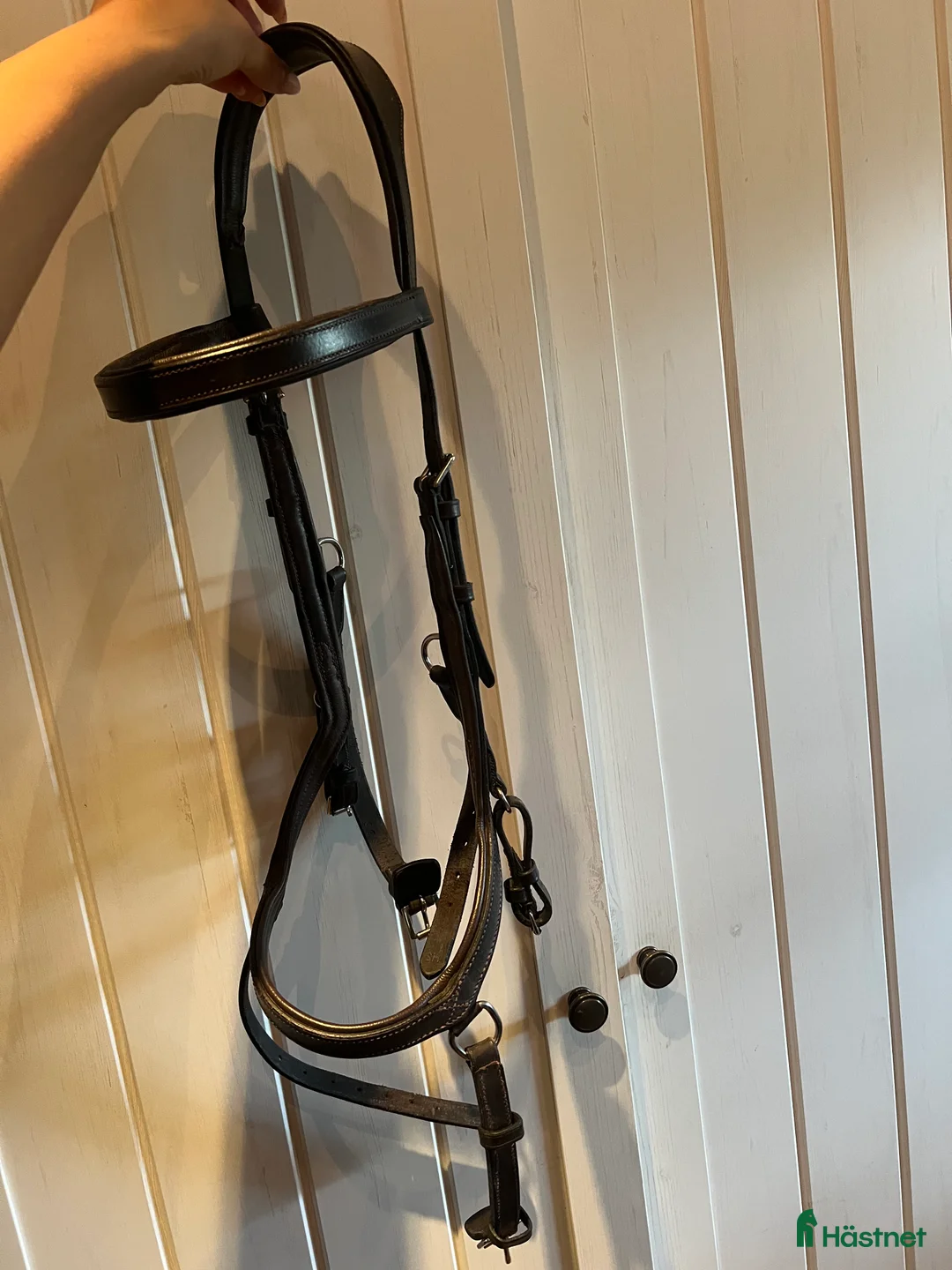 Övrig Hästutrustning hästutrustning till salu: Märkes utrustning säljes! i Gislaved - Annons 5